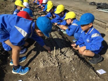 ○2年生 生活科「冬野菜を育てよう」